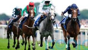 Prescott would like Haggas to ‘stick to his guns’ with Baaeed