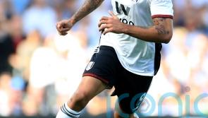 Aleksandar Mitrovic hails Marco Silva changes after Fulham’s positive start