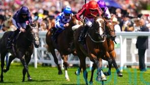 Amo Racing appeal against Norfolk result to be heard on Wednesday