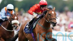 Flying Five bid at the Curragh not ruled out for Highfield Princess