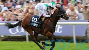 Leger aspirations on the line for Hoo Ya Mal at Goodwood