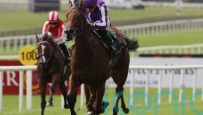 ‘Sore’ Little Big Bear set to miss National Stakes