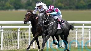 Internationalangel could be set for Breeders’ Cup adventure