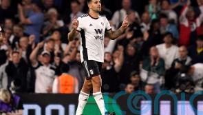 Aleksandar Mitrovic and Fulham end Brighton’s unbeaten start