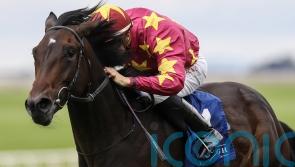 Joseph O’Brien tempted to bid for Group One glory with Al Riffa