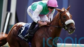 Chaldean and Silver Knott could clash in Champagne Stakes