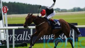Homeless Songs ‘in great order’ for Leopardstown showdown