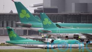 Aer Lingus says systems are restored after cancelling 51 flights