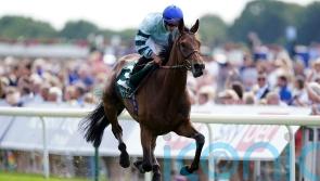 Quickthorn ‘in great form’ for Cadran challenge