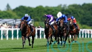 Ascot gearing up for Baaeed’s Champion Stakes swansong