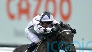 Oscula ready to go roll again with busy autumn coming up