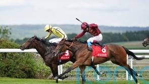 Ferguson ‘tempted’ by longer trip at Ascot for Mise En Scene
