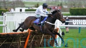 Buckley points to Ascot or Newcastle for Constitution Hill return