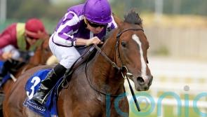 O’Brien seeking further Beresford riches