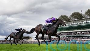 Blackbeard in Breeders’ Cup frame following Middle Park glory