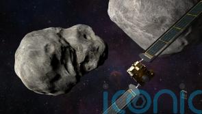 WATCH: Nasa tests defence technology by crashing spacecraft into asteroid