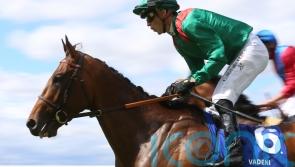 Vadeni team hoping rain stays away at ParisLongchamp