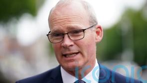 Referendums which back Russian rule in Ukraine a sham – Coveney