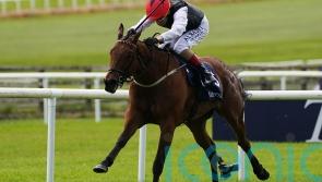 Songs and Saffron set for Sun Chariot rematch