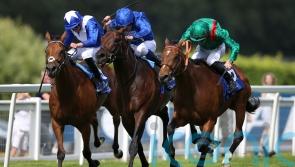 Vadeni to stay in training at four