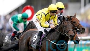All systems go for Perfect Power on Champions Day