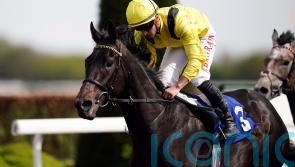 Haggas still harbouring Champions Day hopes for Maljoom