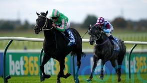 Pogo is Breeders’ Cup-bound after rising to Newmarket challenge