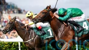Alpha Capture pips stablemate to win Rockingham