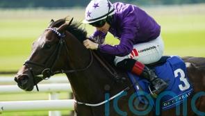 Crypto Force could be one to hit Group One mark for Amo Racing