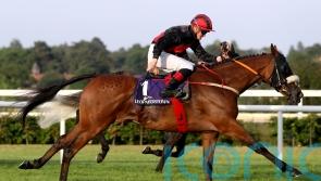 Cheltenham Run on Peregrine’s radar