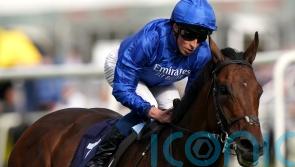 Breeders’ Cup consideration for Adayar after fine Ascot effort