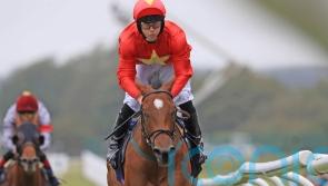 Breeders’ Cup would put icing on top of landmark season for John Quinn