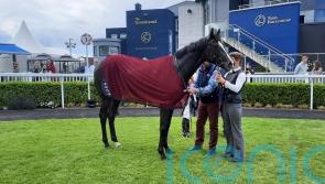 O’Brien has Derby favourite Auguste Rodin pencilled in for Doncaster