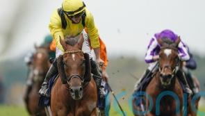 ‘Fantastic servant’ Addeybb bows out with victory in France