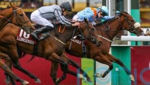 Hollie Doyle to maintain partnership with The Platinum Queen in America