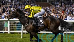 Fahey salutes ‘fantastic’ Perfect Power, as multiple Group One winner heads to stud