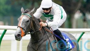 Rausing ‘pondering’ pros and cons of potential Japan Cup bid for Alpinista