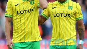 Teemu Pukki’s tame penalty means Norwich have to settle for a point
