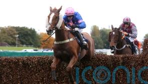 Dingo Dollar cashes in at Aintree with veterans’ victory