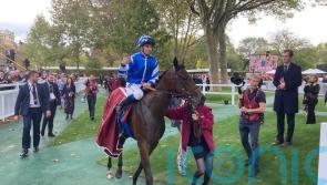 Blue Rose Cen misses Breeders’ Cup date