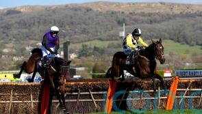 ‘Big disappointment’ for Mullins, as The Nice Guy ruled out for the season
