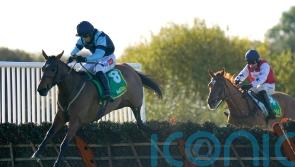 Indefatigable primed for Wetherby hurdle defence