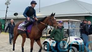 Highfield Princess limbering up Breeders’ Cup challenge