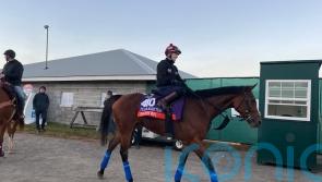 Gosden bullish ahead of Breeders’ Cup duo