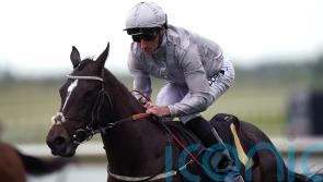 Dramatised back firing at right time for Breeders’ Cup bid
