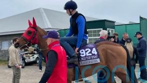Middleham Park savouring ‘chance of a lifetime’ with The Platinum Queen