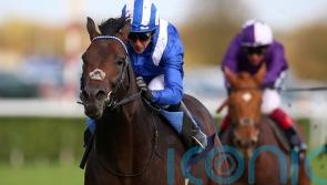 Progressive Israr ‘fresh and well’ for November Handicap challenge