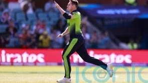 Josh Little’s hat-trick in vain as New Zealand beat Ireland at T20 World Cup