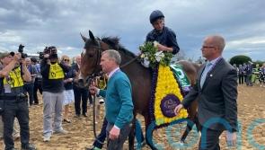 Tuesday too good in Filly & Mare, as O&rsquo;Brien and Moore strike again