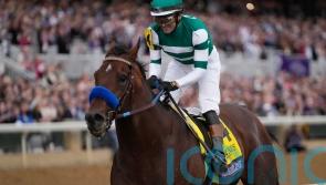 Flightline absolutely spectacular in Breeders’ Cup Classic